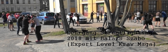 Krav Maga Selbstverteidigung Leipzig 23